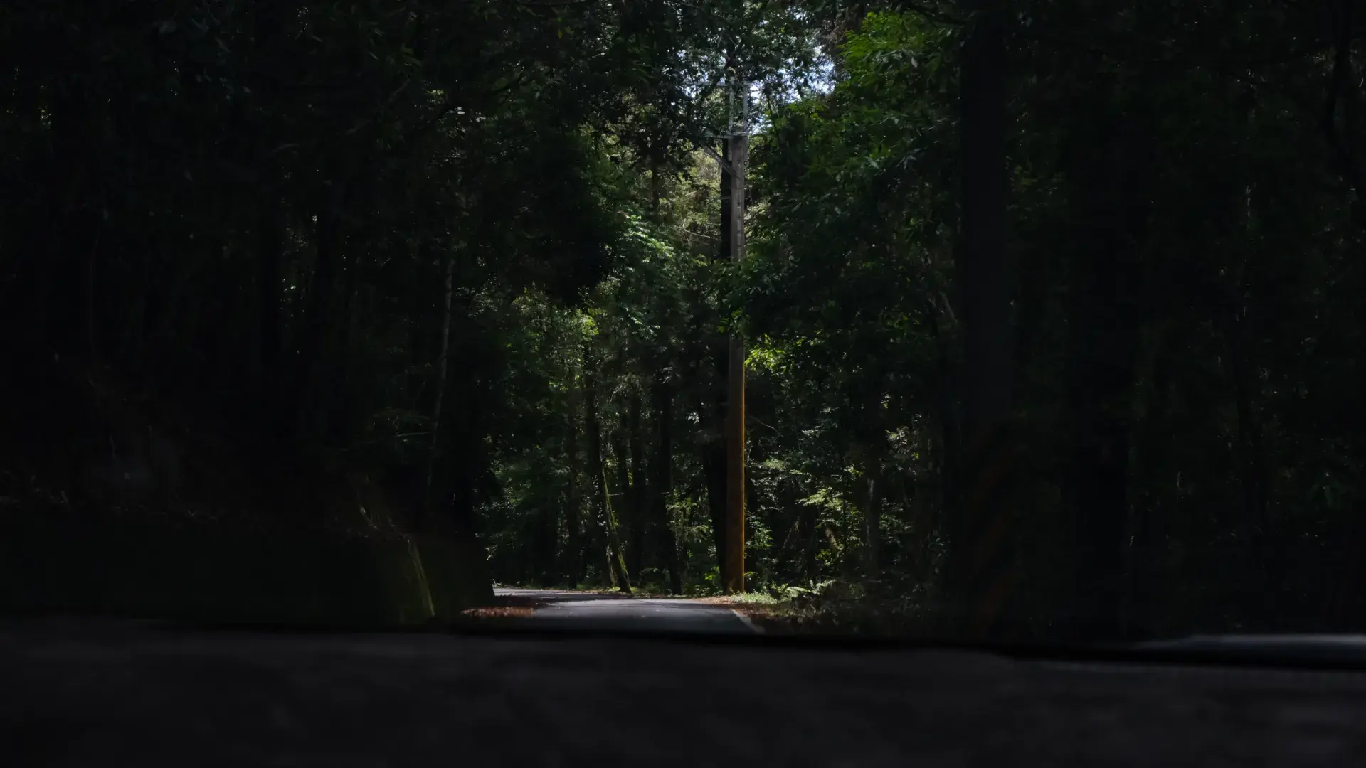 Dscf0923 Cropped